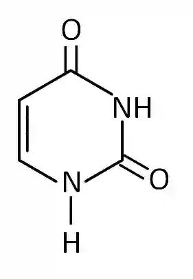 JEE Main 2019 (Online) 11th January Morning Slot Chemistry - Biomolecules Question 137 English Explanation
