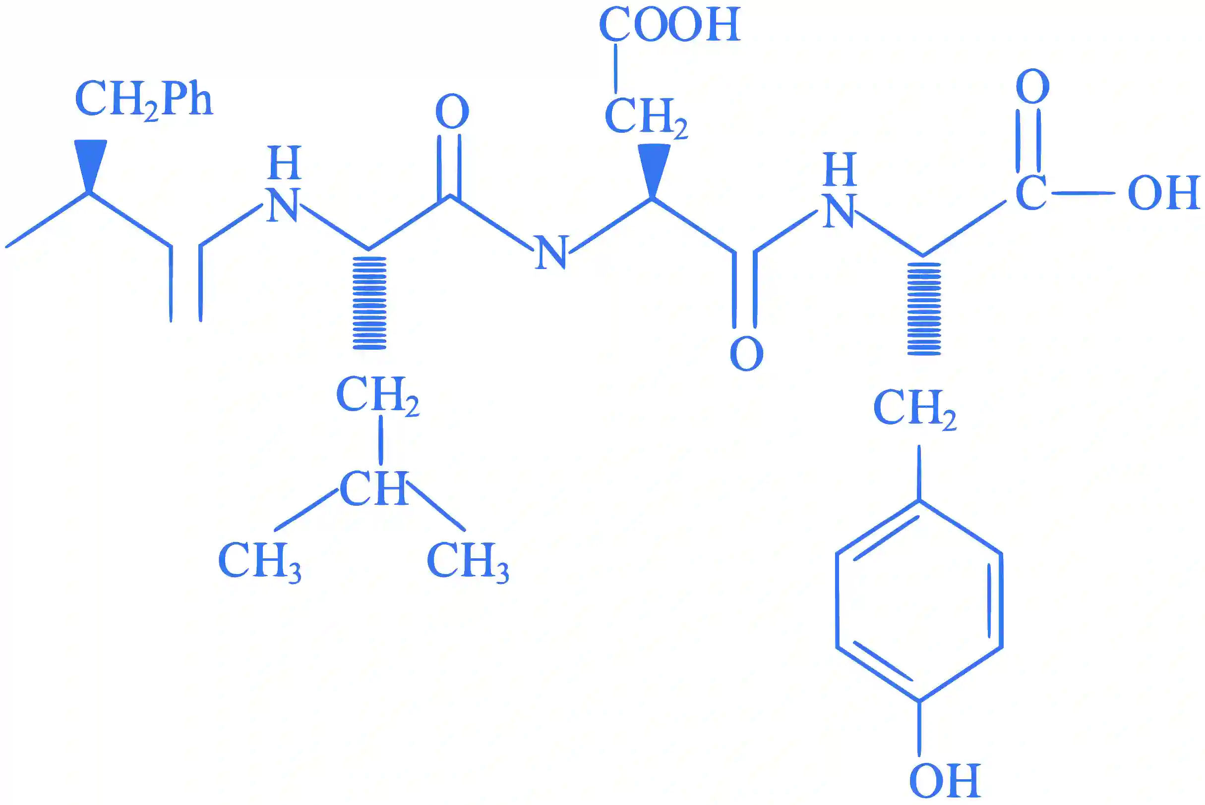 JEE Main 2023 (Online) 29th January Evening Shift Chemistry - Biomolecules Question 49 English