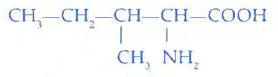 JEE Main 2023 (Online) 8th April Morning Shift Chemistry - Biomolecules Question 36 English Explanation 1