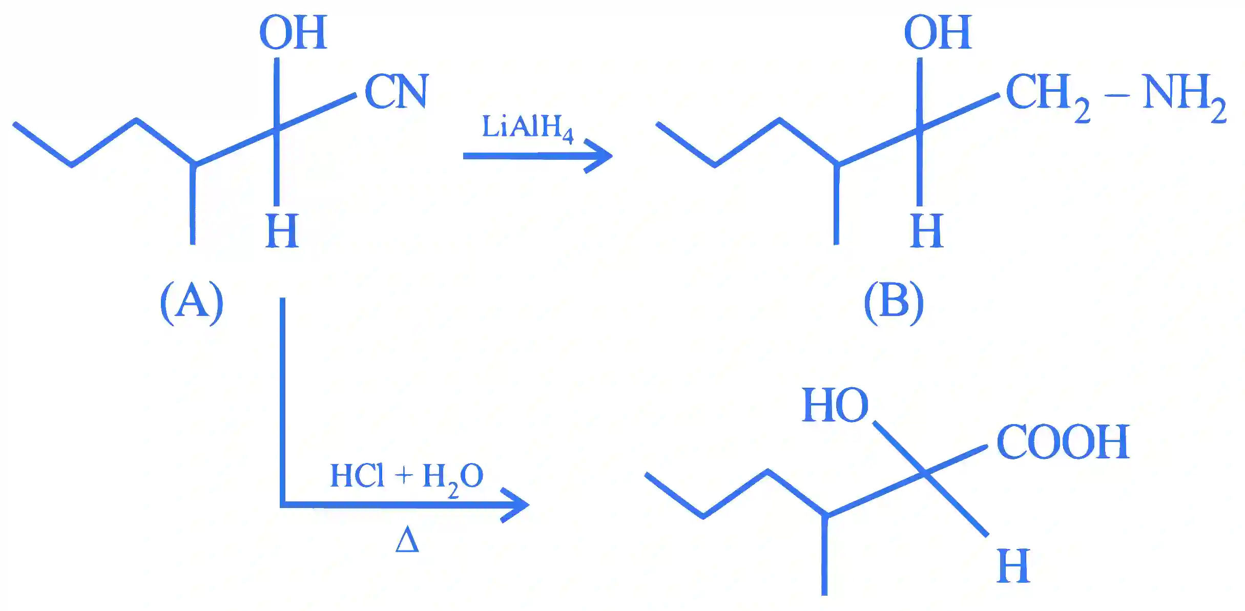 JEE Main 2023 (Online) 1st February Evening Shift Chemistry - Aldehydes, Ketones and Carboxylic Acids Question 74 English Explanation