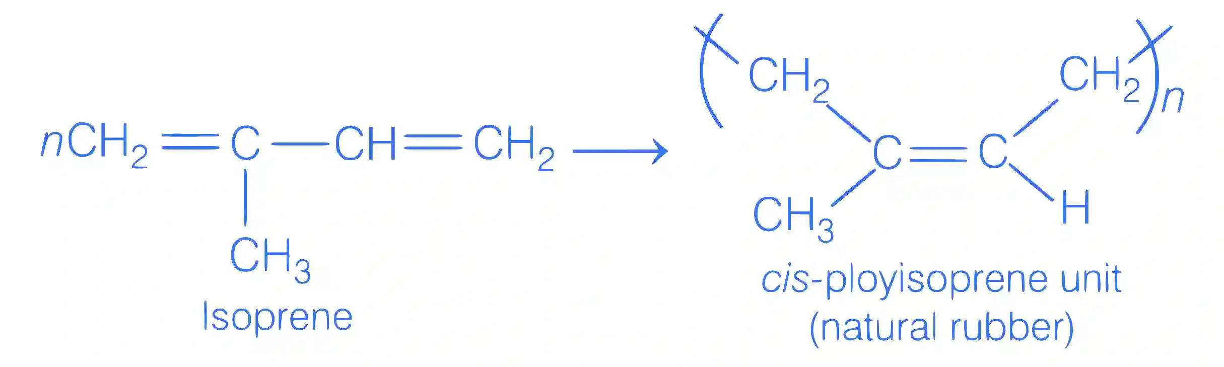 JEE Advanced 2019 Paper 2 Offline Chemistry - Polymers Question 6 English Explanation 2