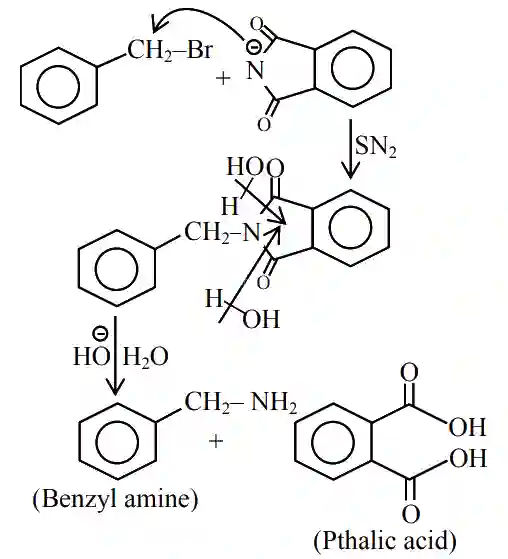 JEE Main 2021 (Online) 27th July Evening Shift Chemistry - Compounds Containing Nitrogen Question 118 English Explanation