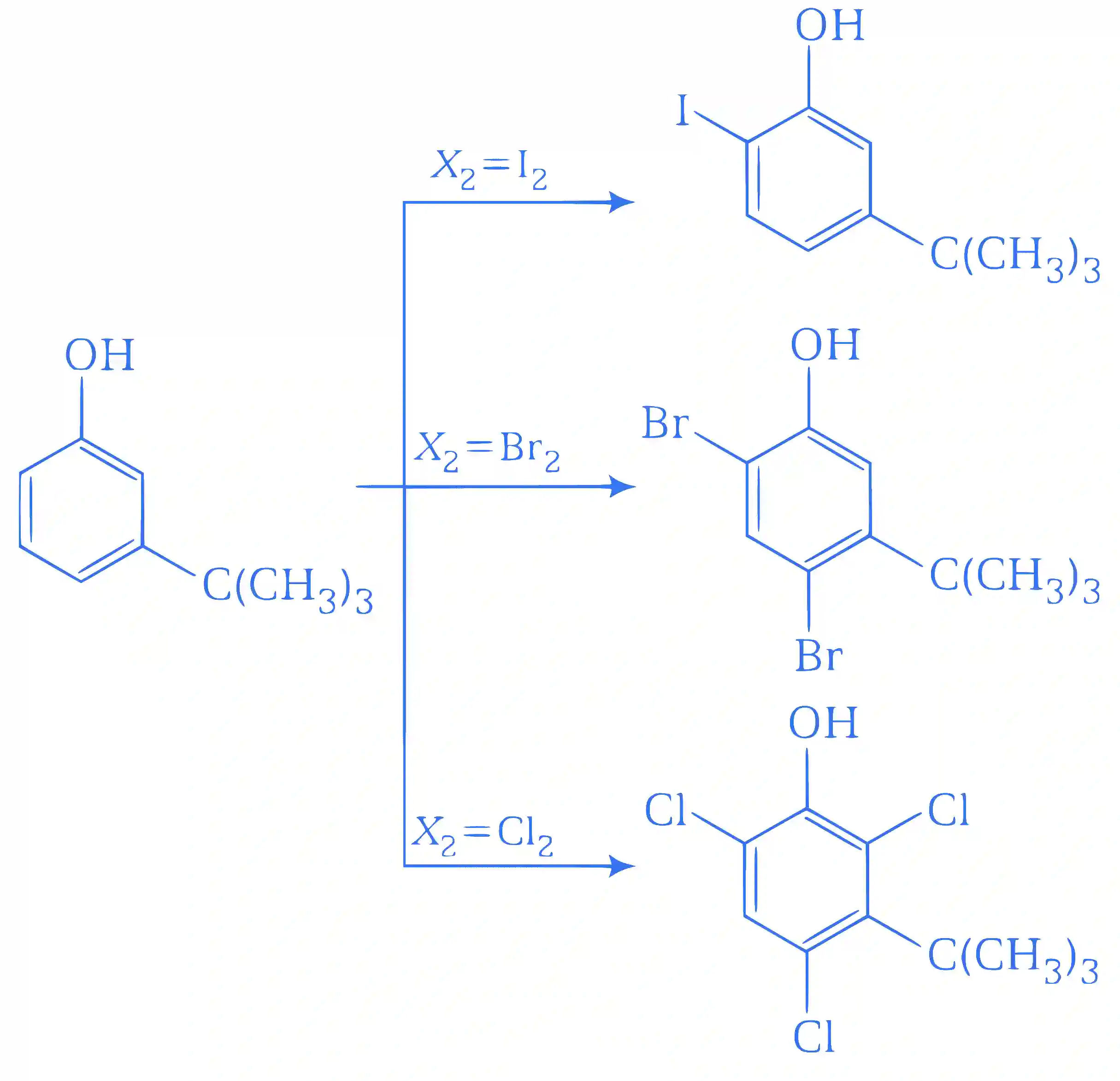 JEE Advanced 2014 Paper 1 Offline Chemistry - Alcohols, Phenols and Ethers Question 19 English Explanation