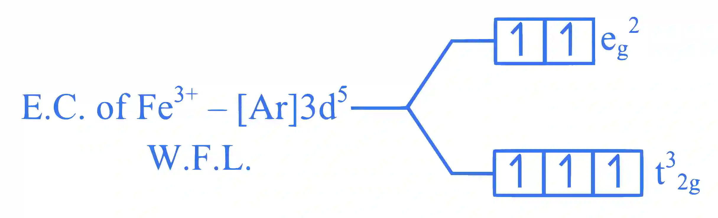 JEE Main 2025 (Online) 22nd January Morning Shift Chemistry - Coordination Compounds Question 13 English Explanation
