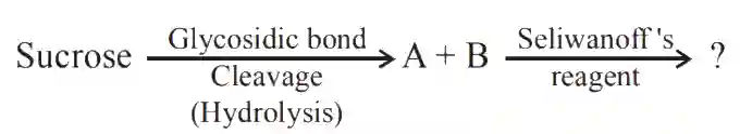 JEE Main 2020 (Online) 2nd September Evening Slot Chemistry - Biomolecules Question 118 English