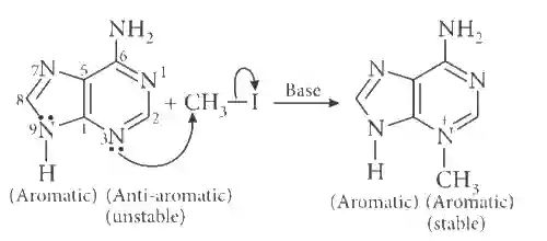 JEE Main 2019 (Online) 8th April Evening Slot Chemistry - Haloalkanes and Haloarenes Question 126 English Explanation