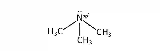 JEE Main 2019 (Online) 12th April Morning Slot Chemistry - Chemical Bonding & Molecular Structure Question 169 English Explanation 2