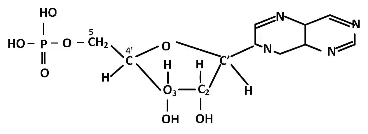 AIEEE 2005 Chemistry - Biomolecules Question 165 English Explanation