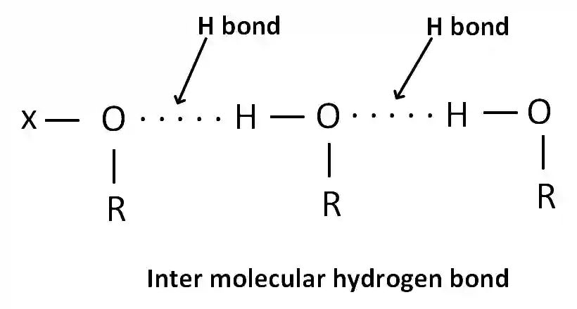 AIEEE 2003 Chemistry - Alcohols, Phenols and Ethers Question 168 English Explanation