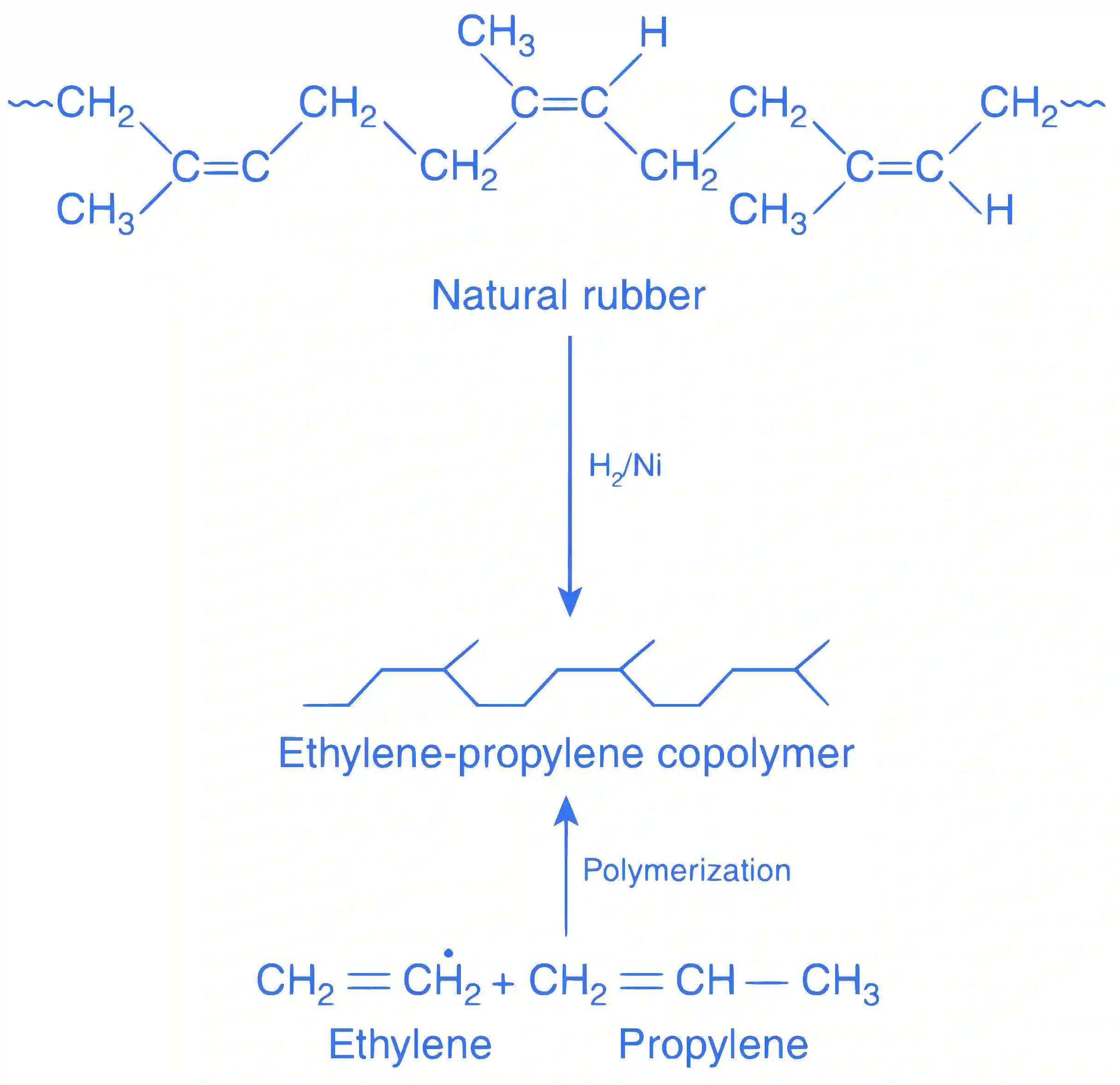 JEE Advanced 2016 Paper 1 Offline Chemistry - Polymers Question 5 English Explanation