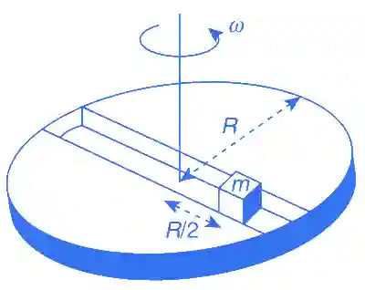 JEE Advanced 2016 Paper 2 Offline Physics - Rotational Motion Question 39 English
