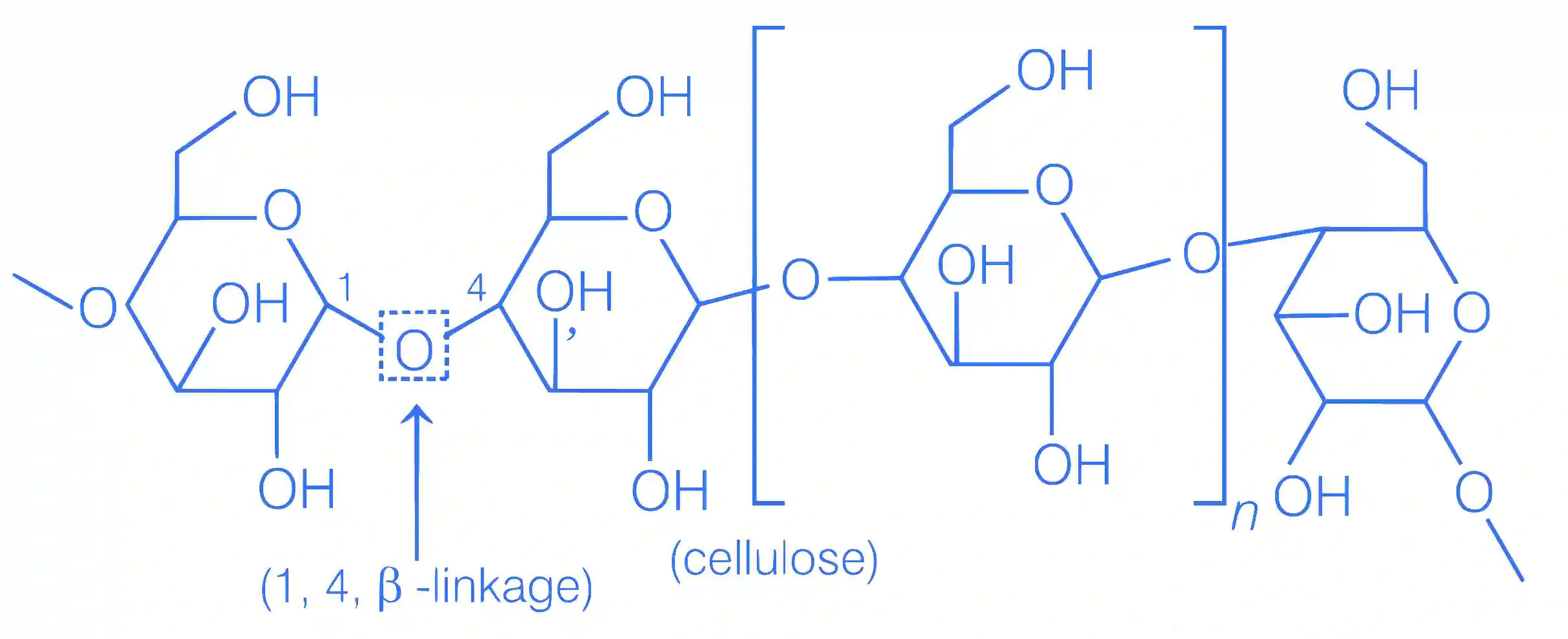 JEE Advanced 2019 Paper 2 Offline Chemistry - Polymers Question 6 English Explanation 3