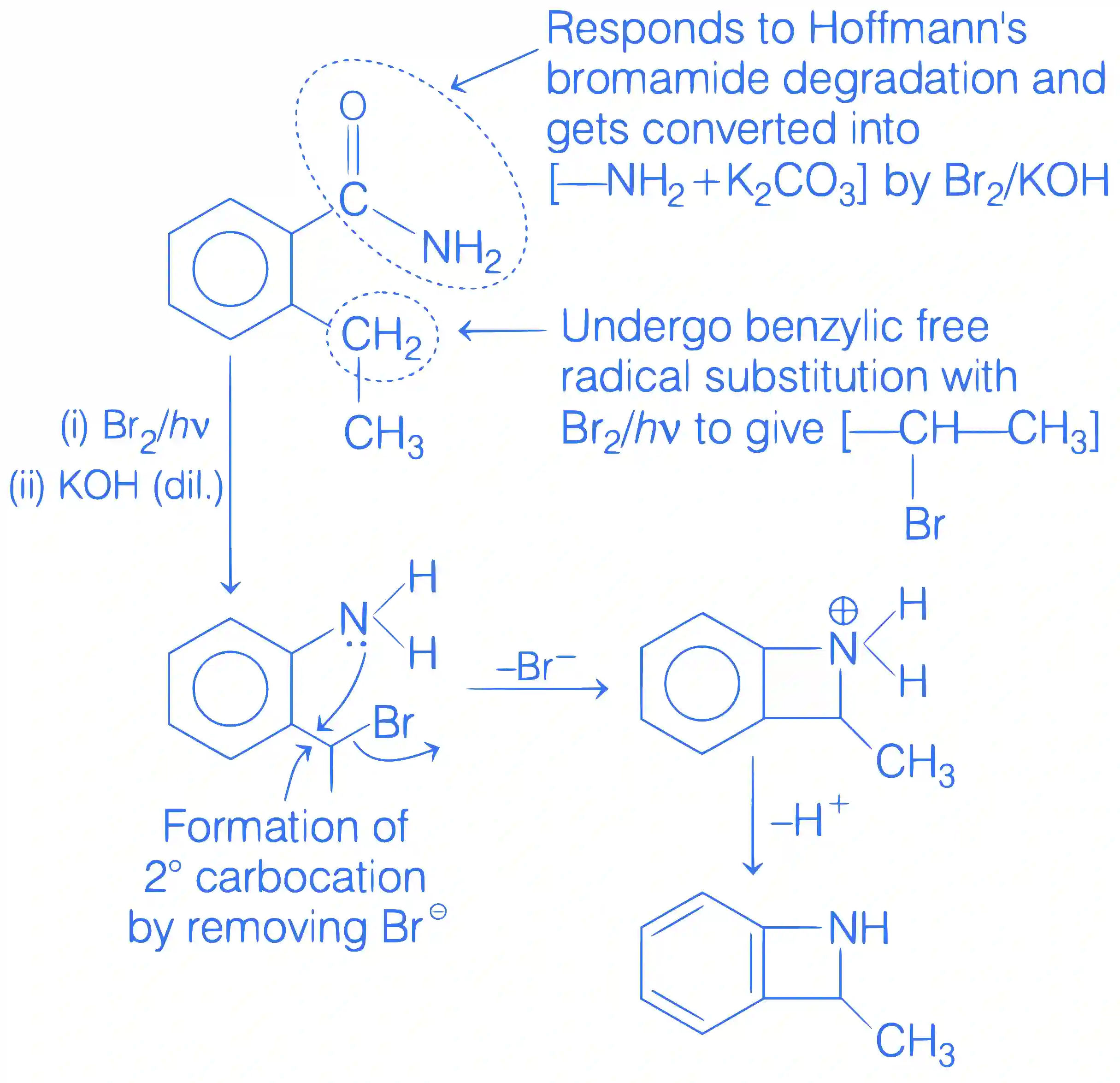 JEE Main 2019 (Online) 9th January Evening Slot Chemistry - Compounds Containing Nitrogen Question 188 English Explanation