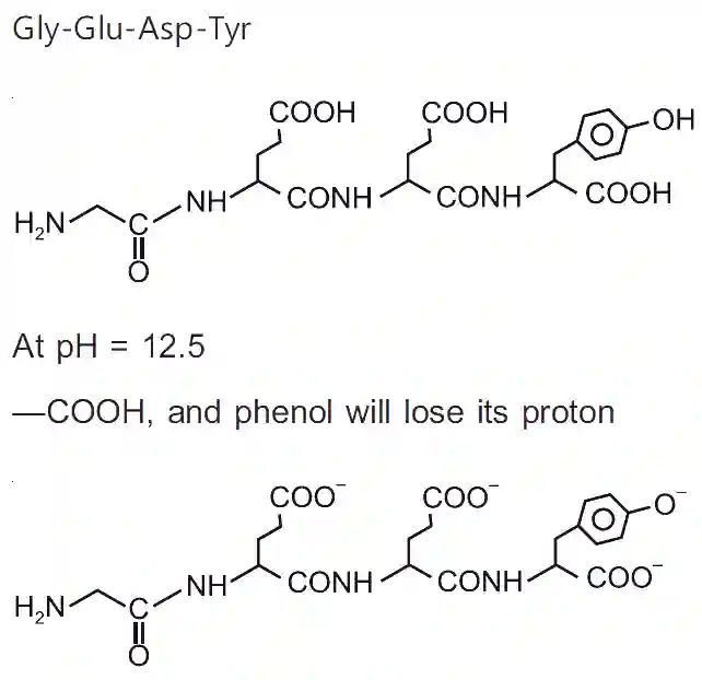 JEE Main 2021 (Online) 26th August Morning Shift Chemistry - Biomolecules Question 88 English Explanation