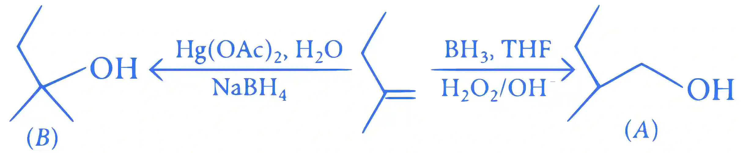 JEE Main 2023 (Online) 24th January Evening Shift Chemistry - Hydrocarbons Question 47 English Explanation