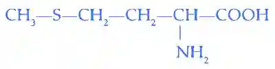 JEE Main 2023 (Online) 8th April Morning Shift Chemistry - Biomolecules Question 36 English Explanation 4