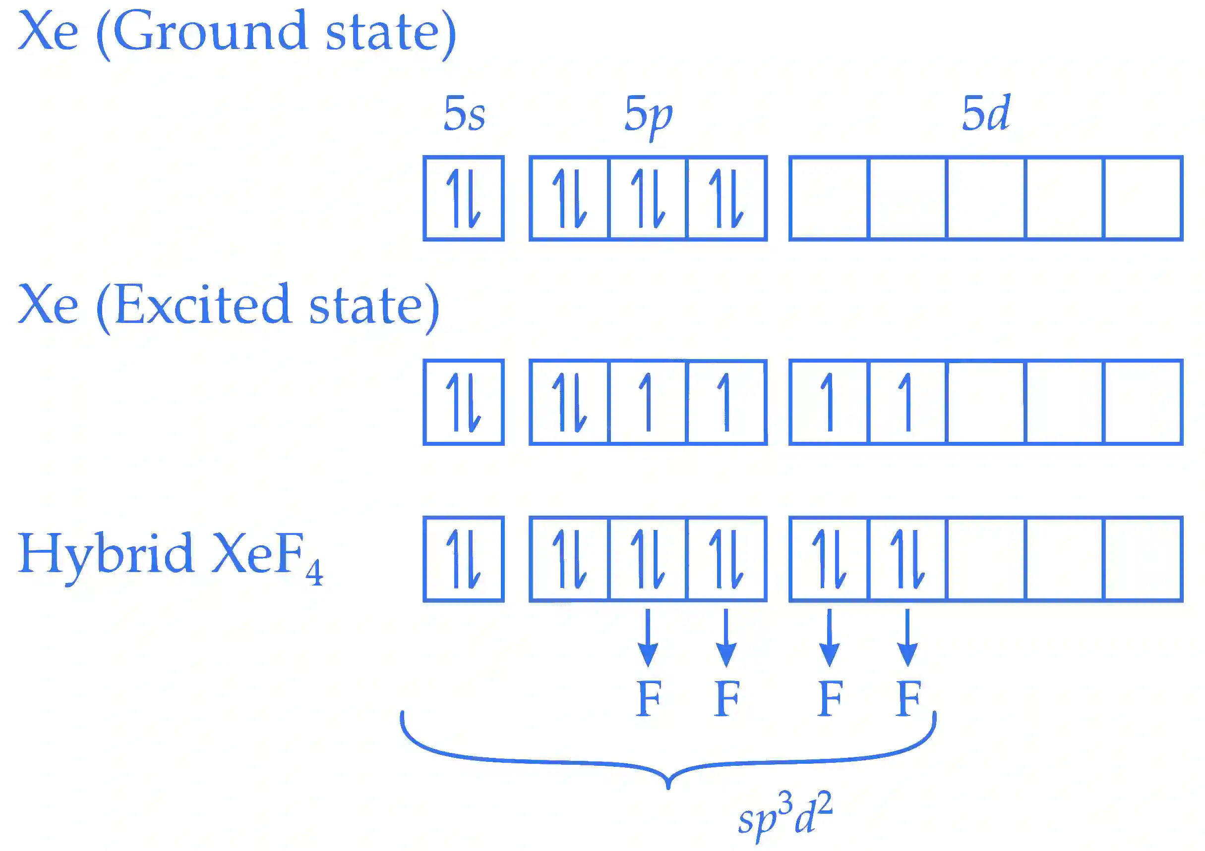 IIT-JEE 2004 Chemistry - Chemical Bonding & Molecular Structure Question 17 English Explanation 1