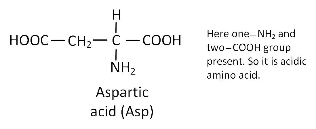 JEE Main 2019 (Online) 9th January Morning Slot Chemistry - Biomolecules Question 141 English Explanation 2
