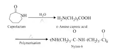 JEE Main 2017 (Offline) Chemistry - Polymers Question 69 English Explanation