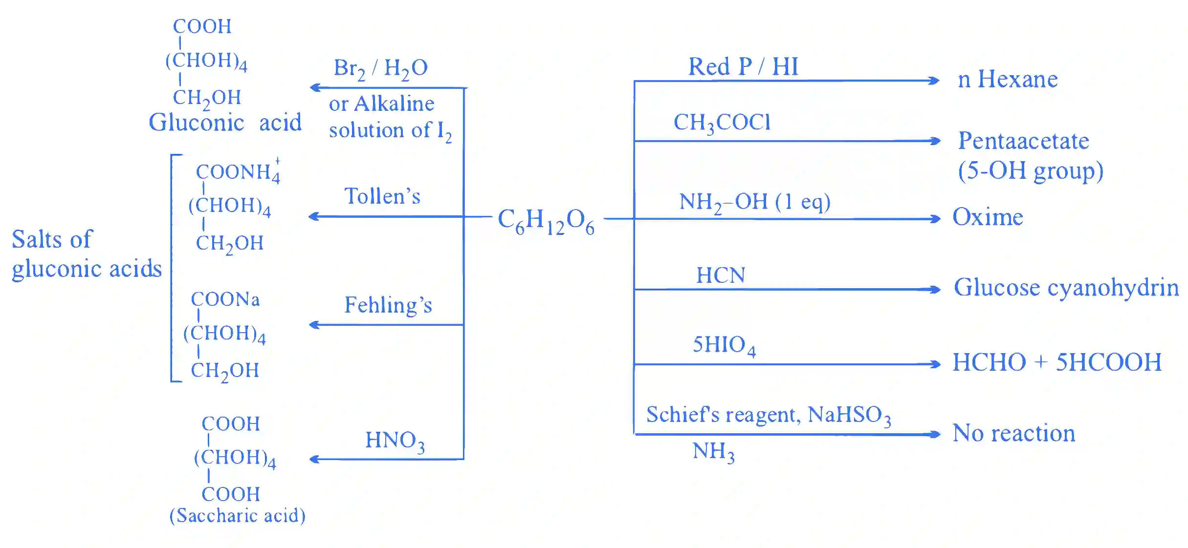 JEE Main 2022 (Online) 27th July Evening Shift Chemistry - Biomolecules Question 62 English Explanation