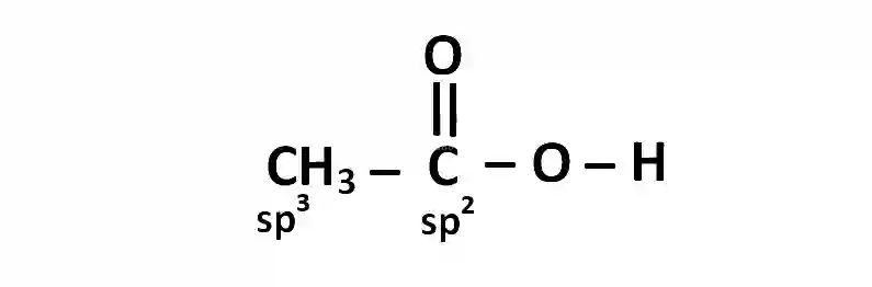 AIEEE 2002 Chemistry - Chemical Bonding & Molecular Structure Question 202 English Explanation 1