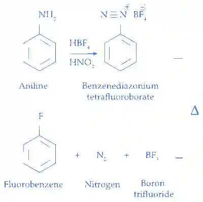 JEE Main 2023 (Online) 8th April Morning Shift Chemistry - Compounds Containing Nitrogen Question 46 English Explanation 2