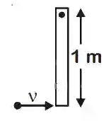 JEE Main 2020 (Online) 5th September Evening Slot Physics - Rotational Motion Question 120 English