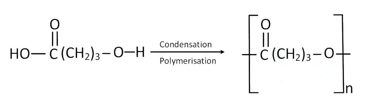 JEE Main 2019 (Online) 11th January Evening Slot Chemistry - Polymers Question 59 English Explanation