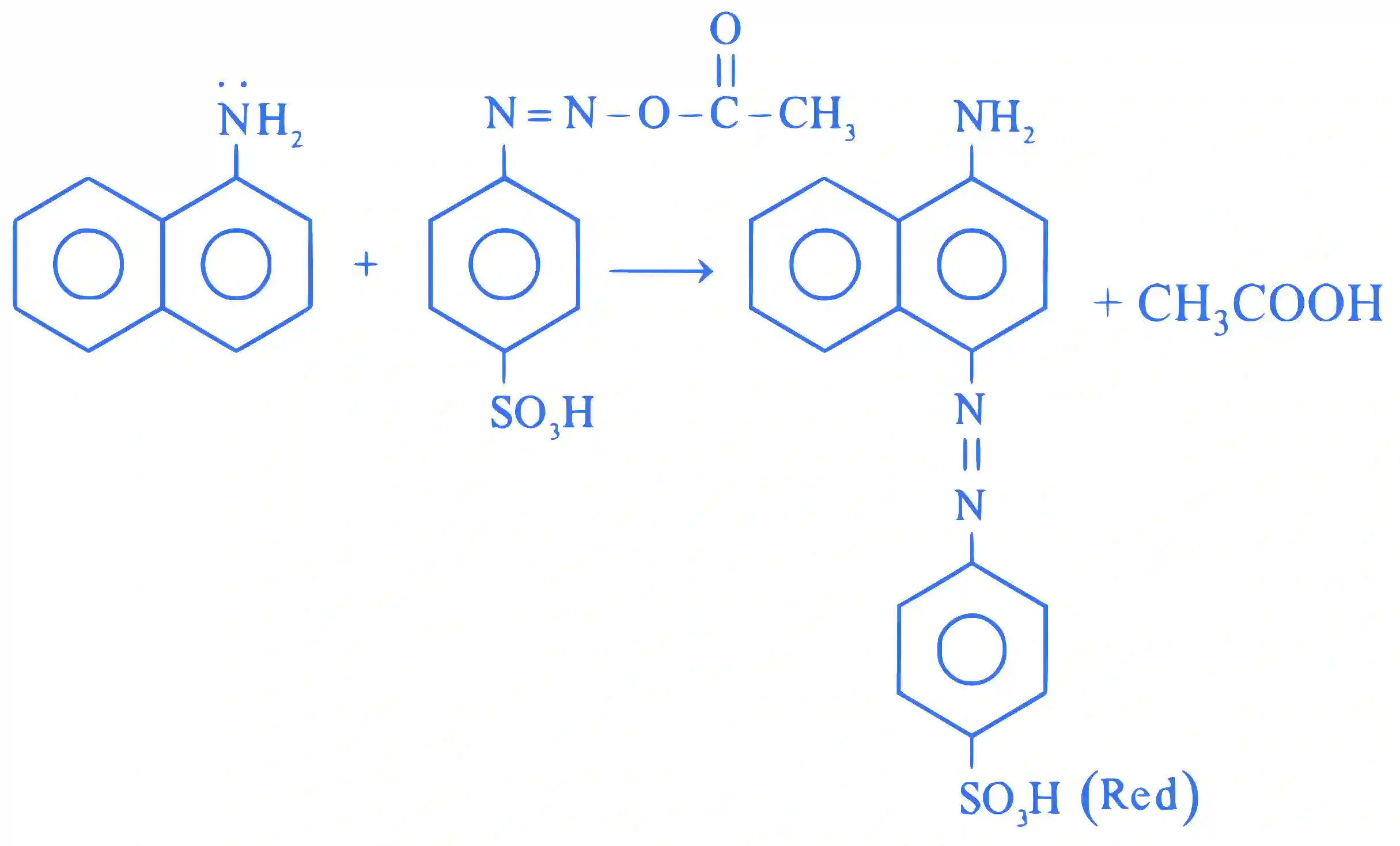 JEE Main 2023 (Online) 24th January Evening Shift Chemistry - Compounds Containing Nitrogen Question 60 English Explanation
