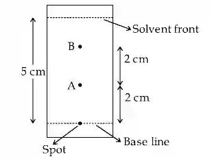 JEE Main 2021 (Online) 25th February Morning Shift Chemistry - Basics of Organic Chemistry Question 160 English