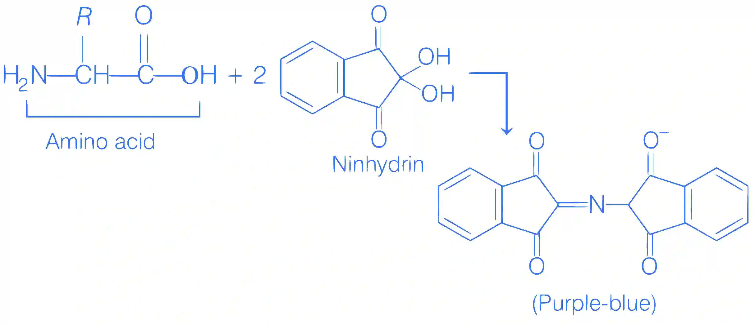 JEE Main 2021 (Online) 20th July Morning Shift Chemistry - Compounds Containing Nitrogen Question 130 English Explanation