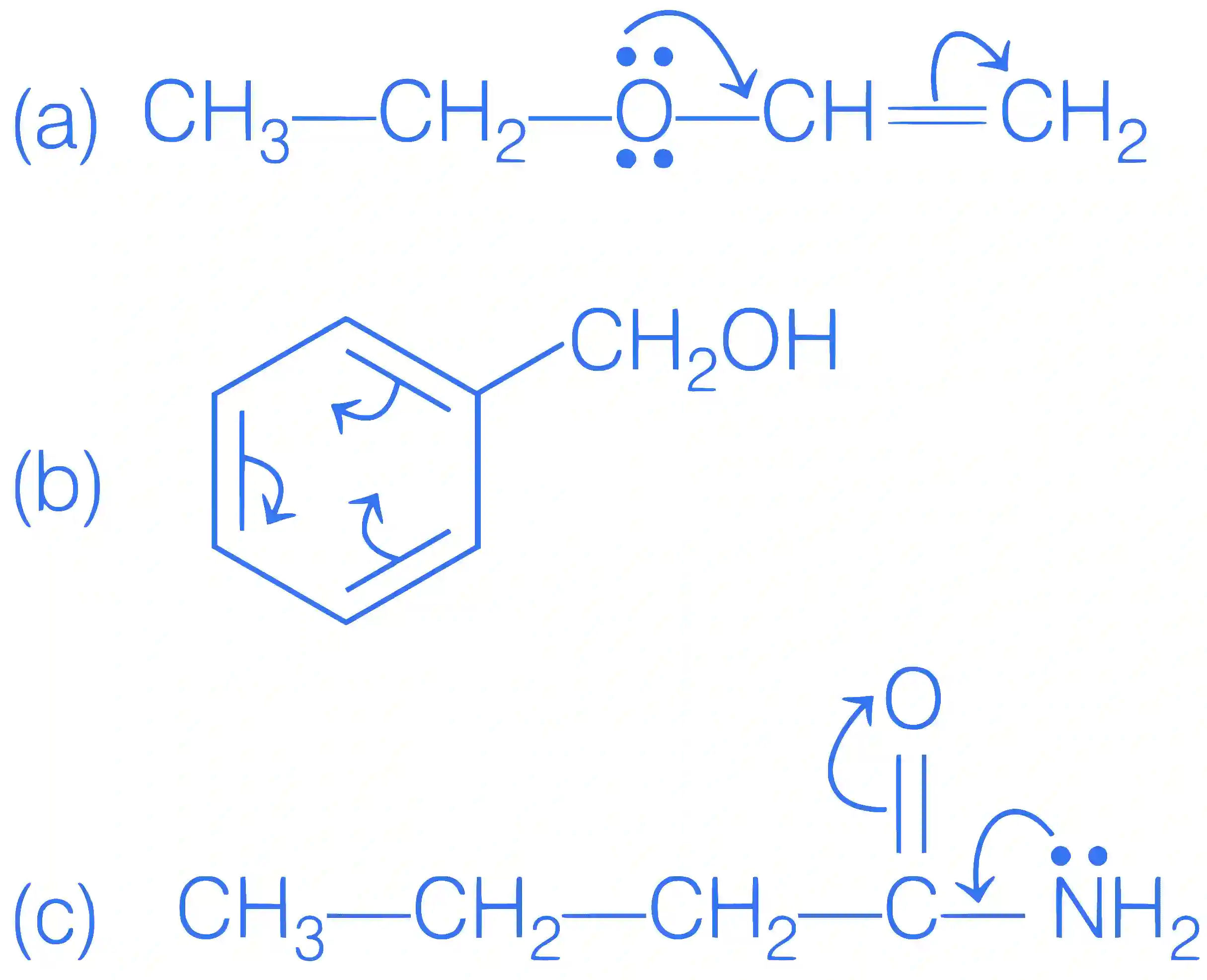 JEE Main 2021 (Online) 22th July Evening Shift Chemistry - Basics of Organic Chemistry Question 147 English Explanation