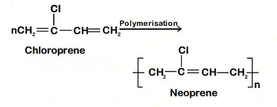 JEE Main 2021 (Online) 26th February Morning Shift Chemistry - Polymers Question 42 English Explanation