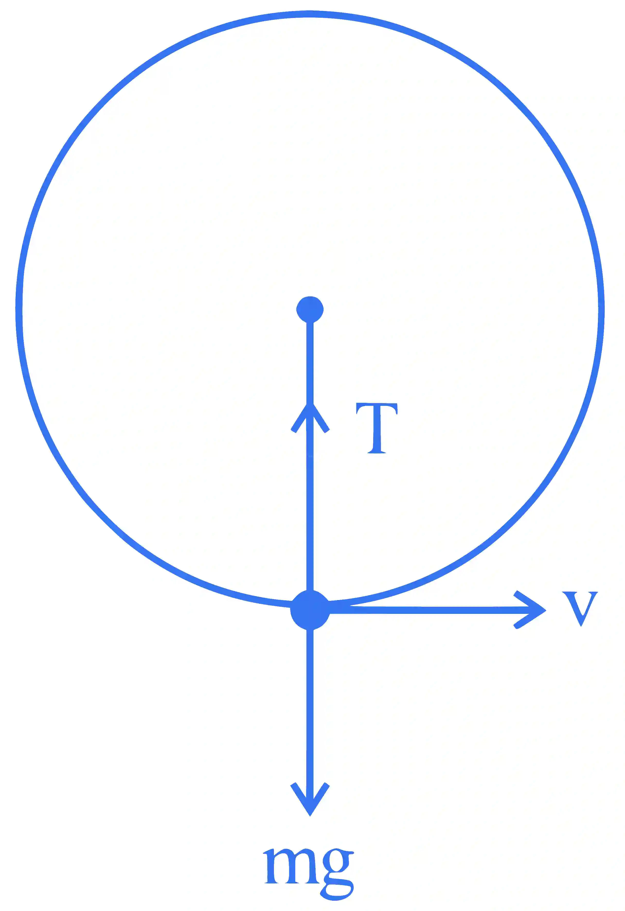 JEE Main 2024 (Online) 29th January Evening Shift Physics - Circular Motion Question 12 English Explanation