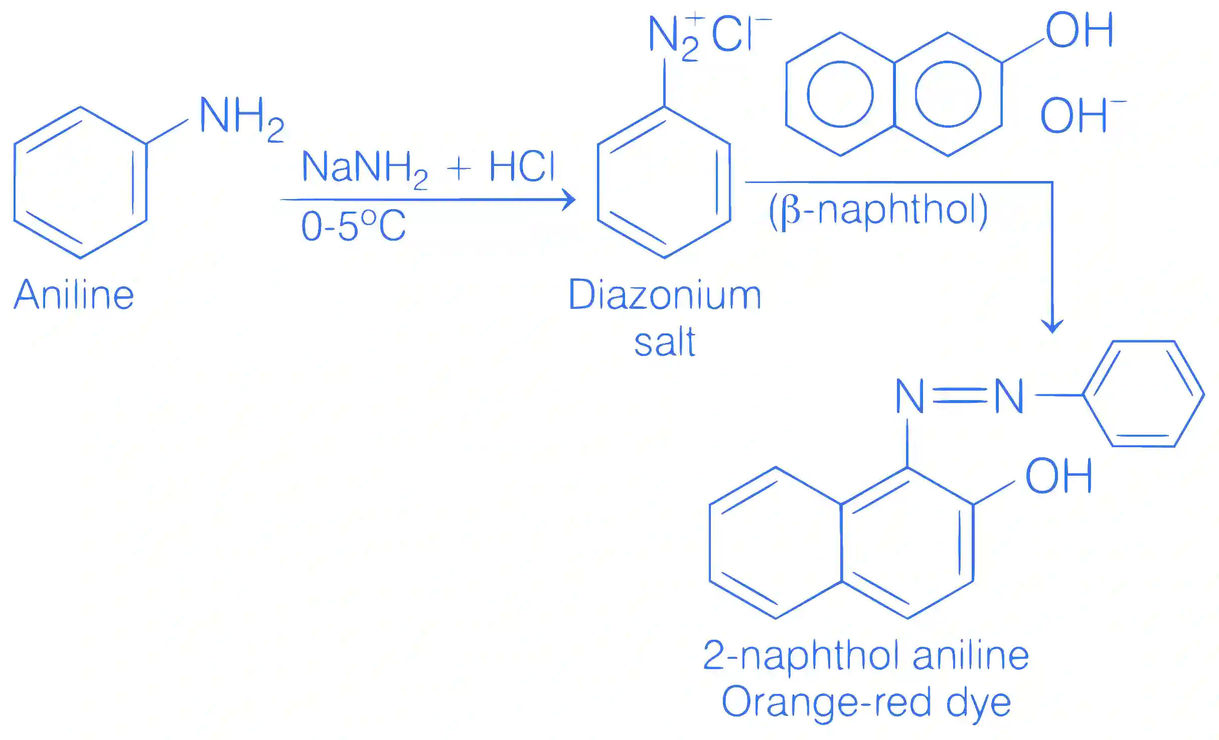 JEE Main 2021 (Online) 24th February Evening Shift Chemistry - Compounds Containing Nitrogen Question 151 English Explanation