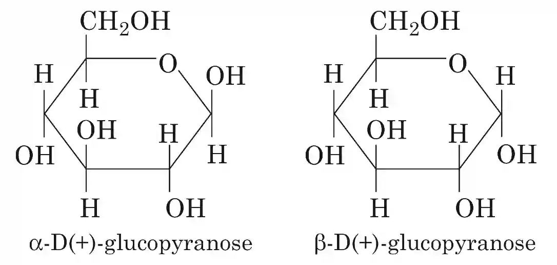 JEE Advanced 2019 Paper 1 Offline Chemistry - Biomolecules Question 17 English Explanation 1