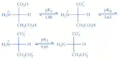JEE Main 2016 (Online) 9th April Morning Slot Chemistry - Biomolecules Question 143 English