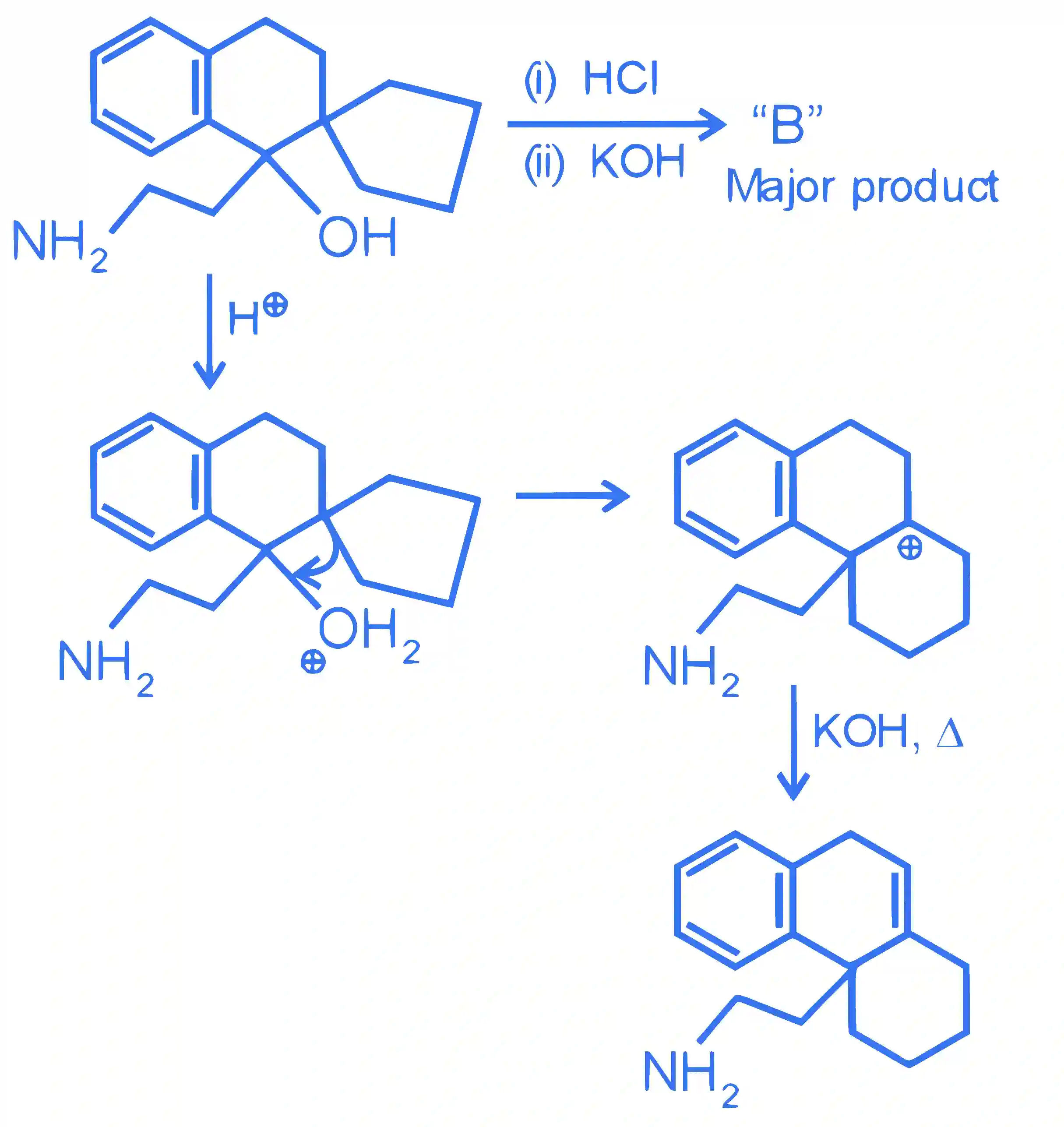 JEE Main 2023 (Online) 13th April Morning Shift Chemistry - Compounds Containing Nitrogen Question 53 English Explanation