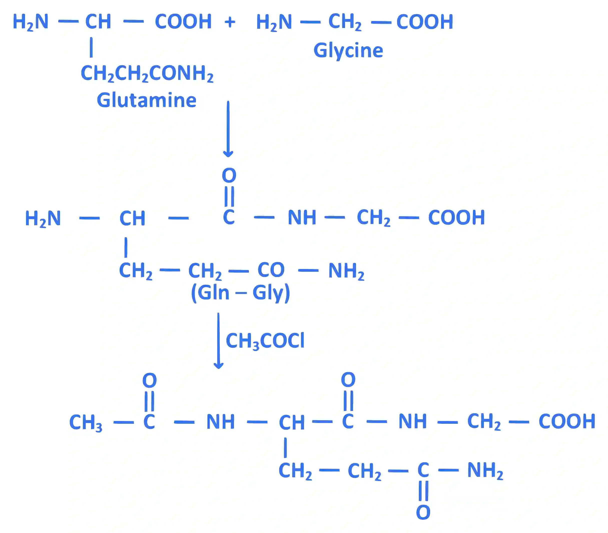 JEE Main 2018 (Online) 15th April Evening Slot Chemistry - Biomolecules Question 147 English Explanation