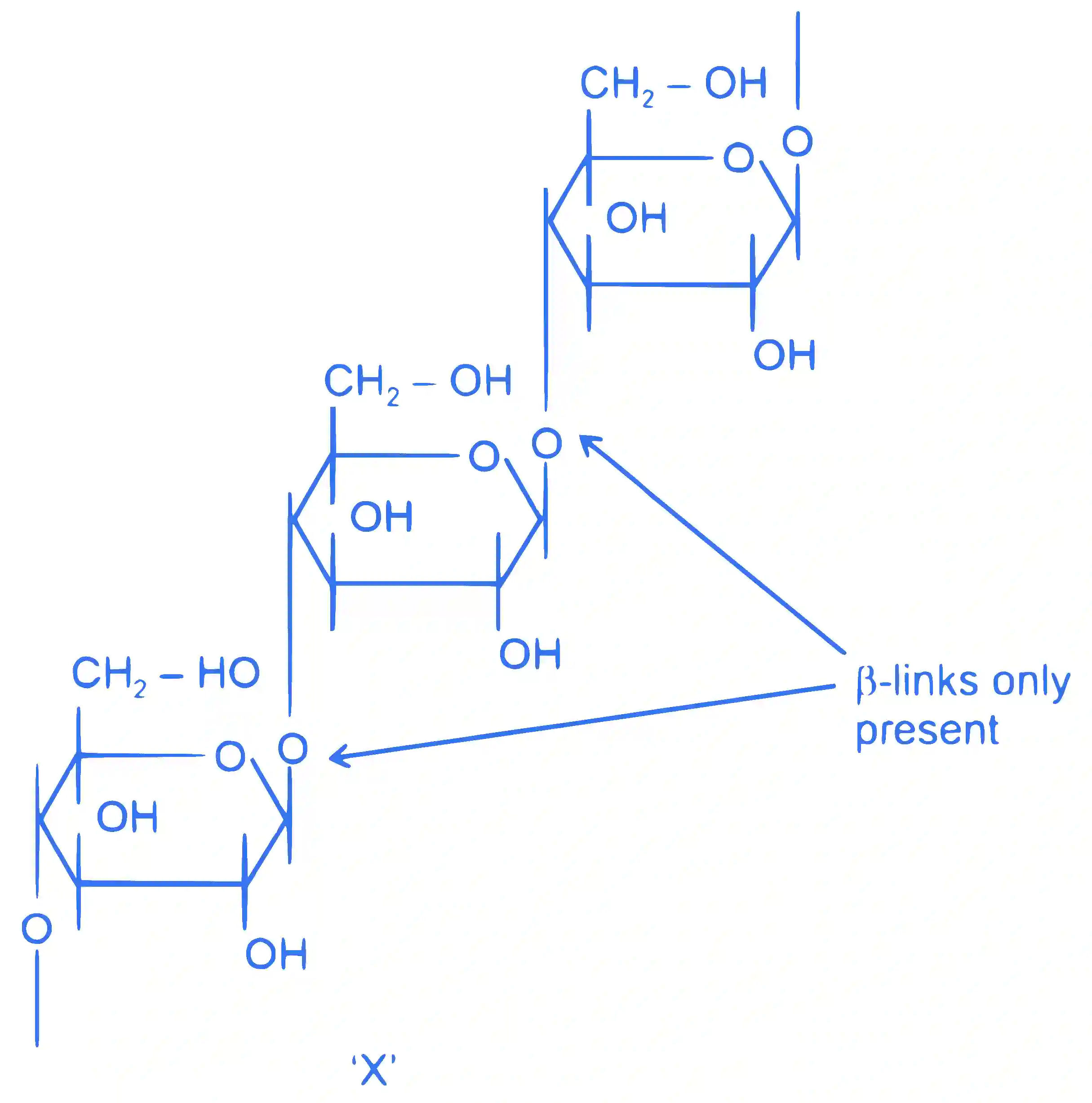 JEE Main 2022 (Online) 24th June Morning Shift Chemistry - Biomolecules Question 69 English Explanation
