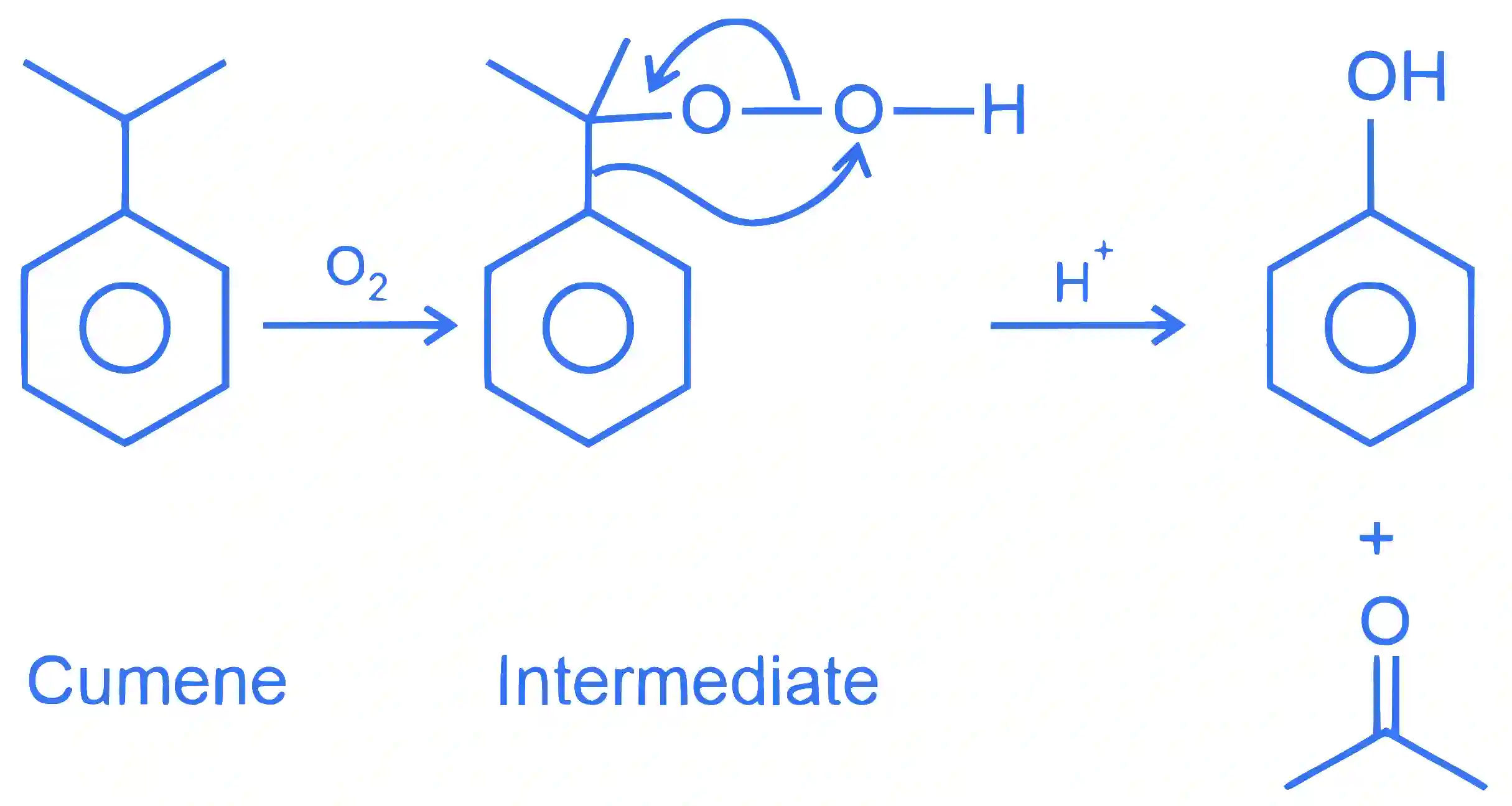 JEE Main 2023 (Online) 25th January Morning Shift Chemistry - Alcohols, Phenols and Ethers Question 47 English Explanation