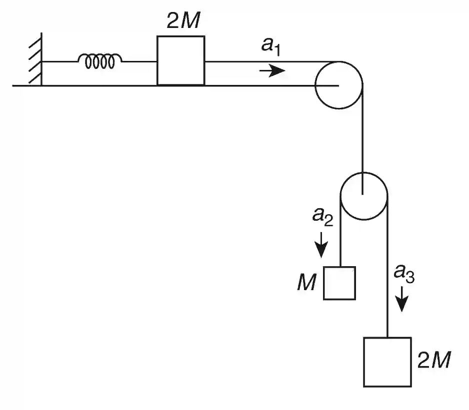 JEE Advanced 2019 Paper 2 Offline Physics - Laws of Motion Question 12 English