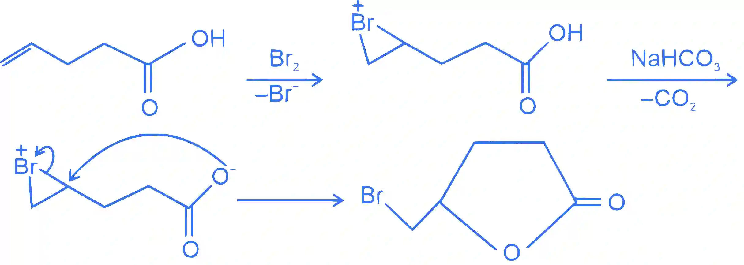 JEE Main 2023 (Online) 8th April Evening Shift Chemistry - Haloalkanes and Haloarenes Question 39 English Explanation