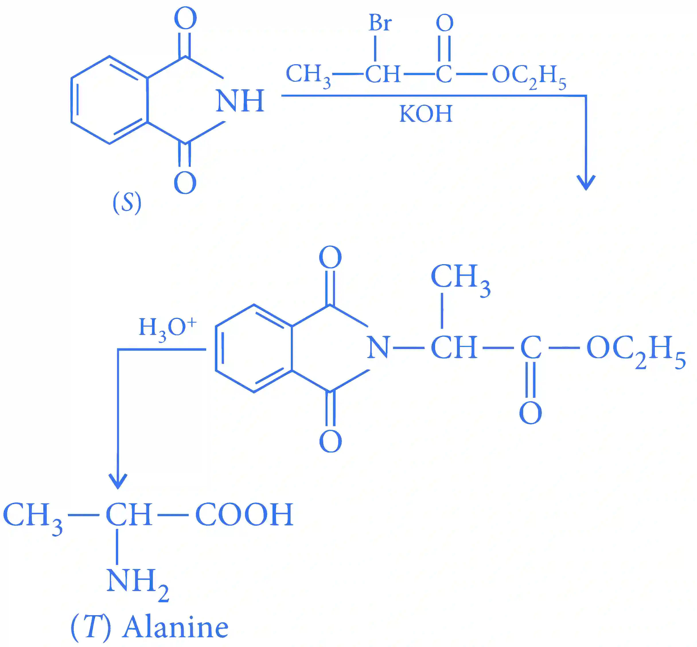 JEE Advanced 2016 Paper 2 Offline Chemistry - Compounds Containing Nitrogen Question 19 English Explanation 2