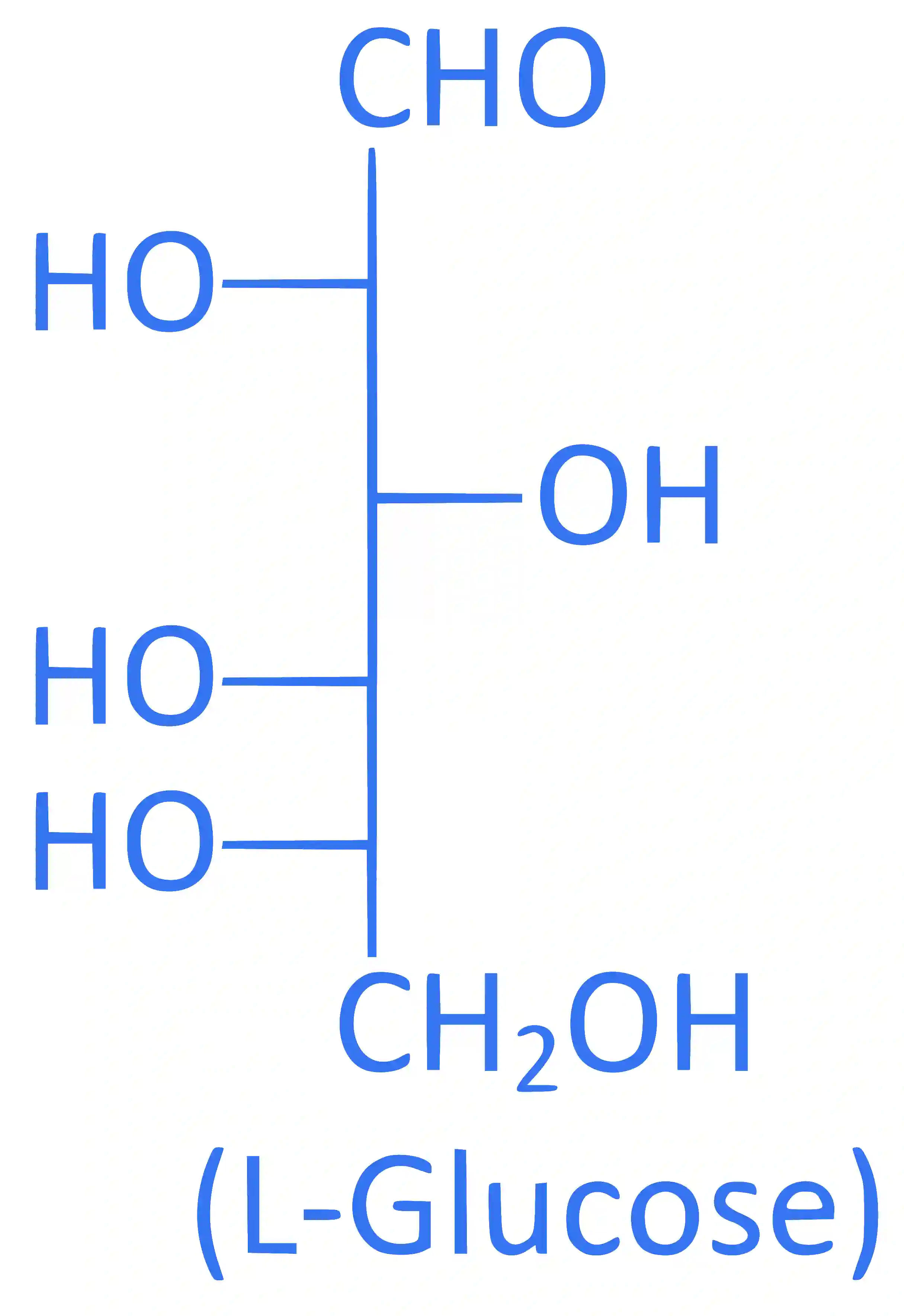 JEE Main 2024 (Online) 4th April Morning Shift Chemistry - Biomolecules Question 19 English Explanation