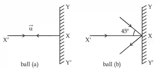 JEE Main 2021 (Online) 25th July Morning Shift Physics - Center of Mass and Collision Question 46 English