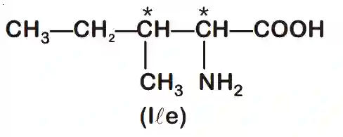JEE Main 2020 (Online) 5th September Morning Slot Chemistry - Biomolecules Question 112 English Explanation 1
