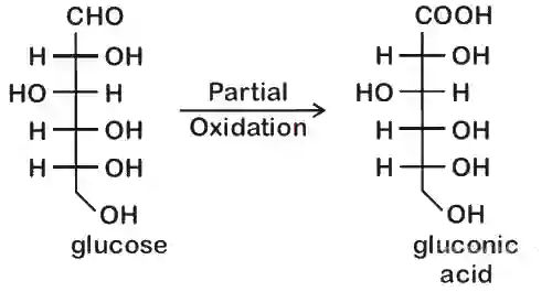 JEE Main 2020 (Online) 7th January Evening Slot Chemistry - Biomolecules Question 122 English Explanation