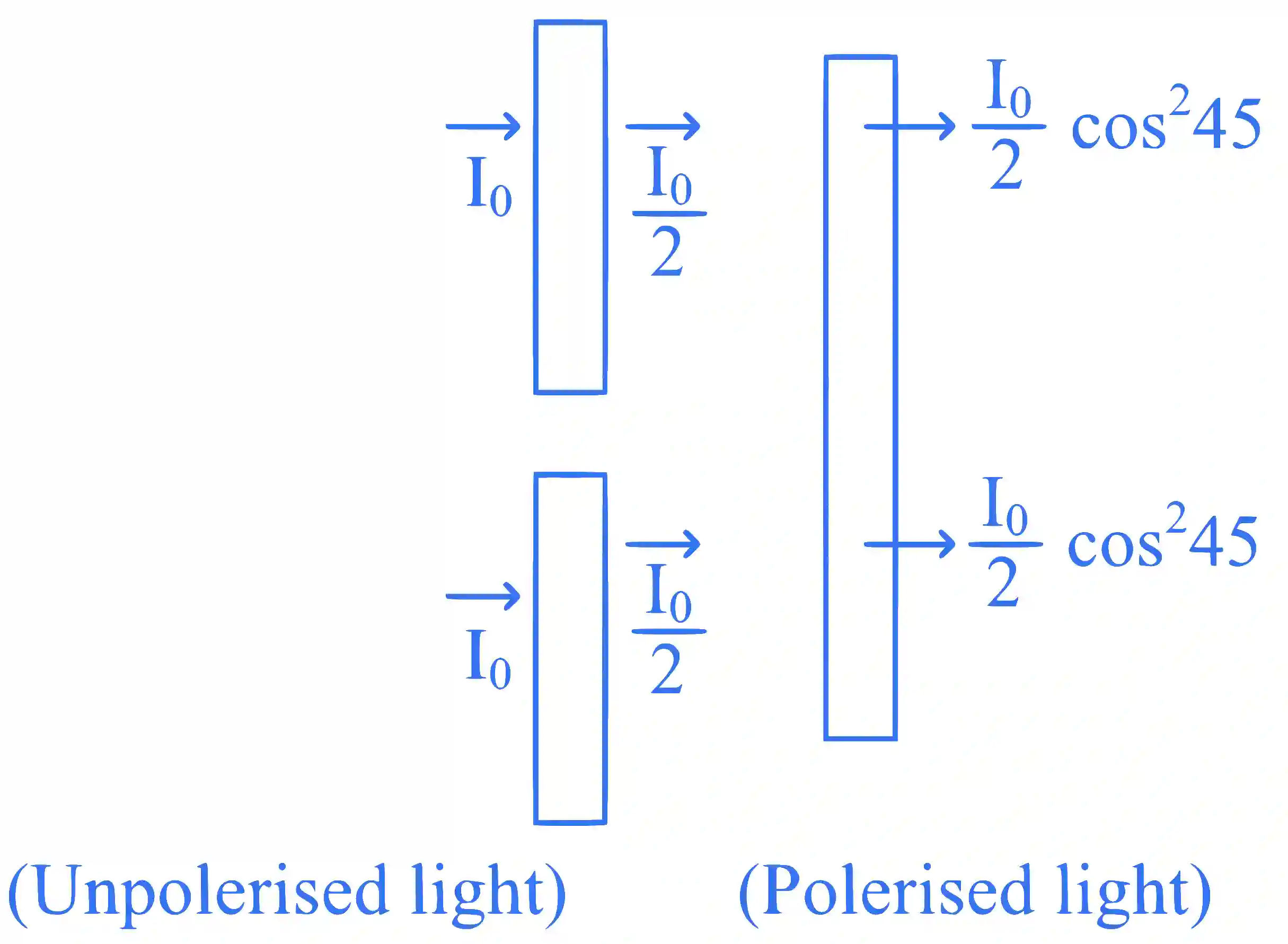 JEE Main 2025 (Online) 24th January Evening Shift Physics - Wave Optics Question 2 English Explanation