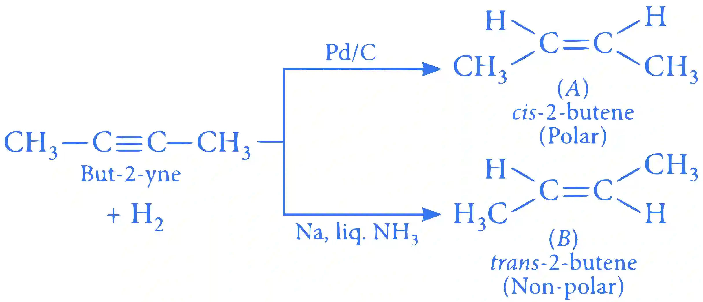 JEE Main 2023 (Online) 1st February Morning Shift Chemistry - Hydrocarbons Question 53 English Explanation